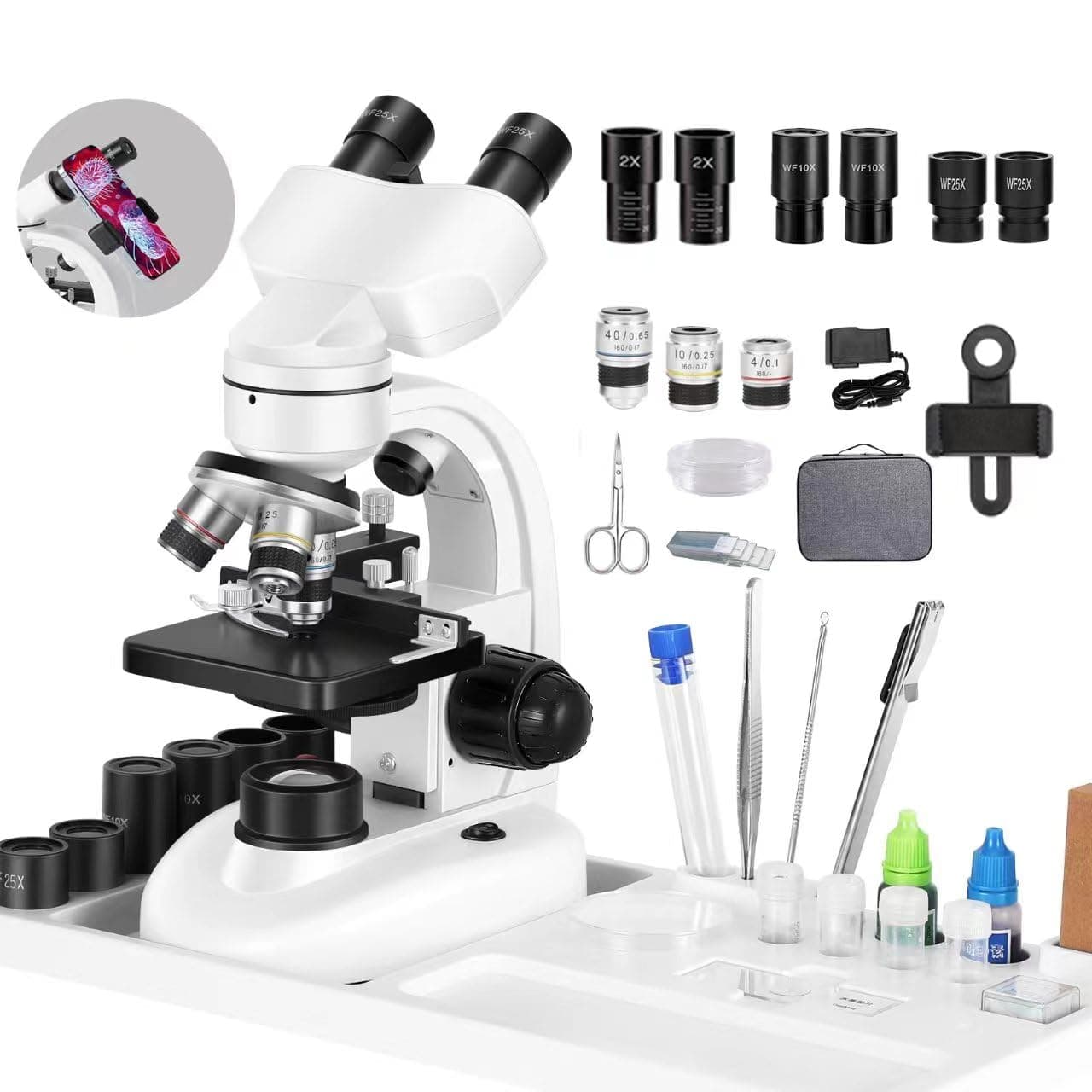 BOGRINUO Compound Binocular Microscope, WF10x and WF50x Eyepieces,40X-2000X Magnification, LED Illumination Two-Layer Mechanical Stage