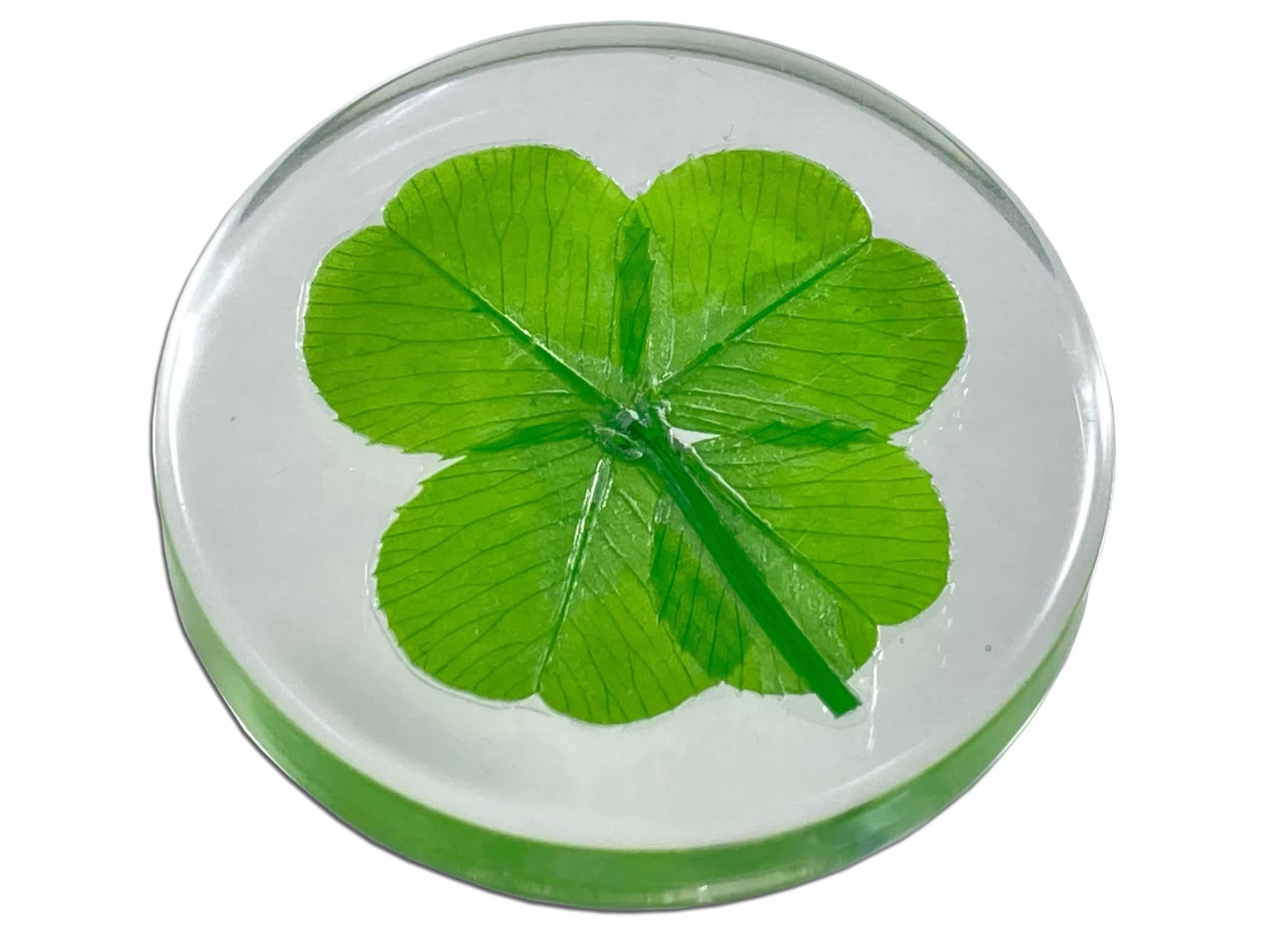 Real Four Leaf Clover Good Luck Pocket Token, Preserved, Preserved-Flowers, 1.25”