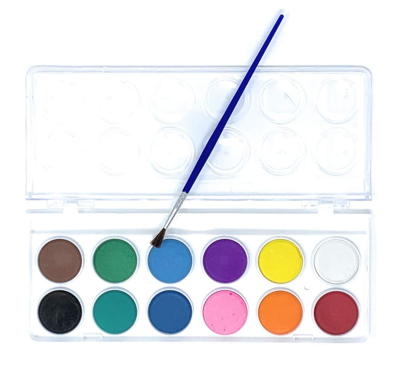 MSCHard 12 Watercolour palette paint set - Beginners Paints Suitable for Artists Craft School Hobbies and of all ages (12colour)