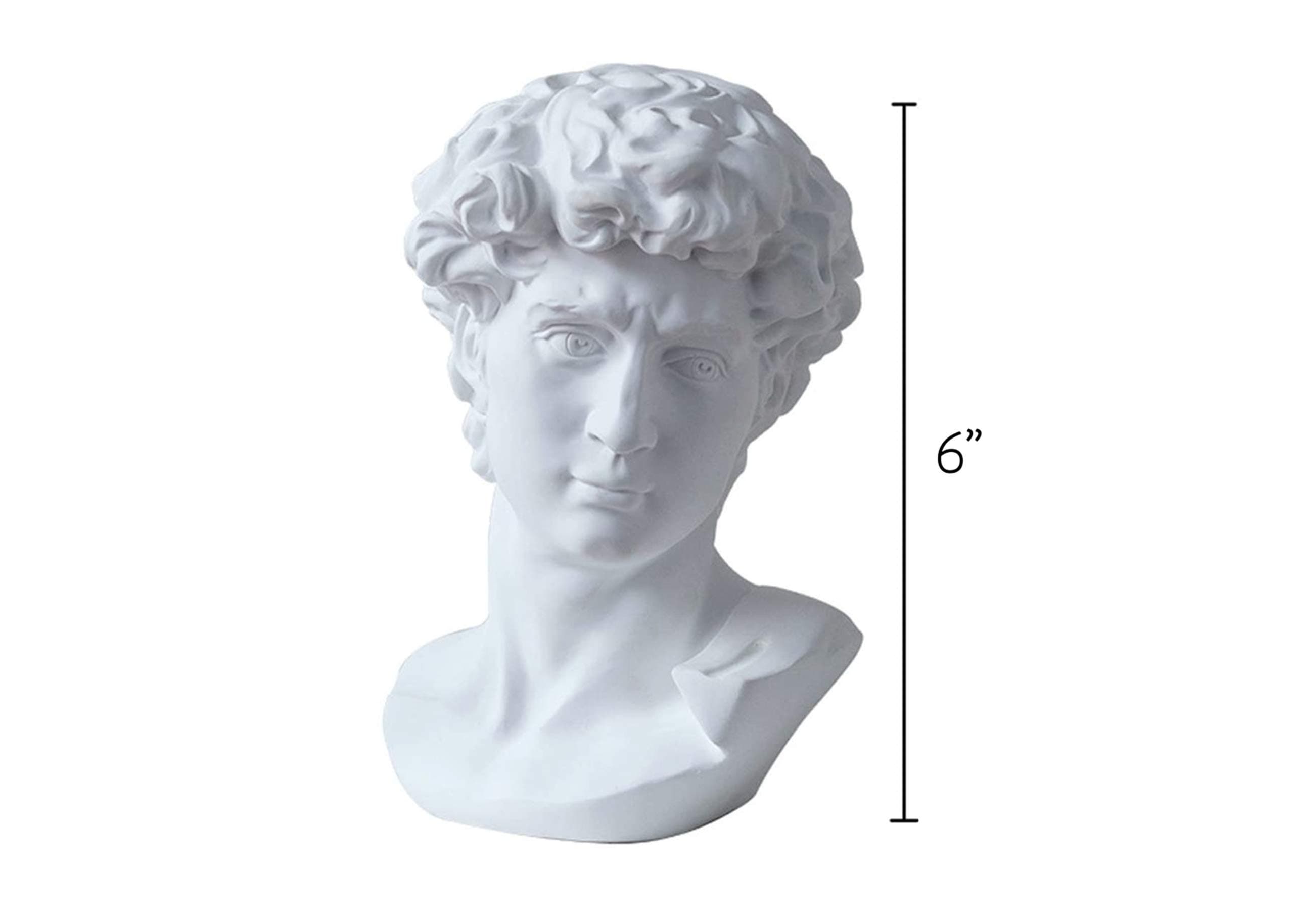 GoGift Greek Statue of David - Head Bust Statue Decor - David Statue for Greek Mythology Decor - Greek Bust for Roman Home Decor - Greek Statue Decor - David Bust