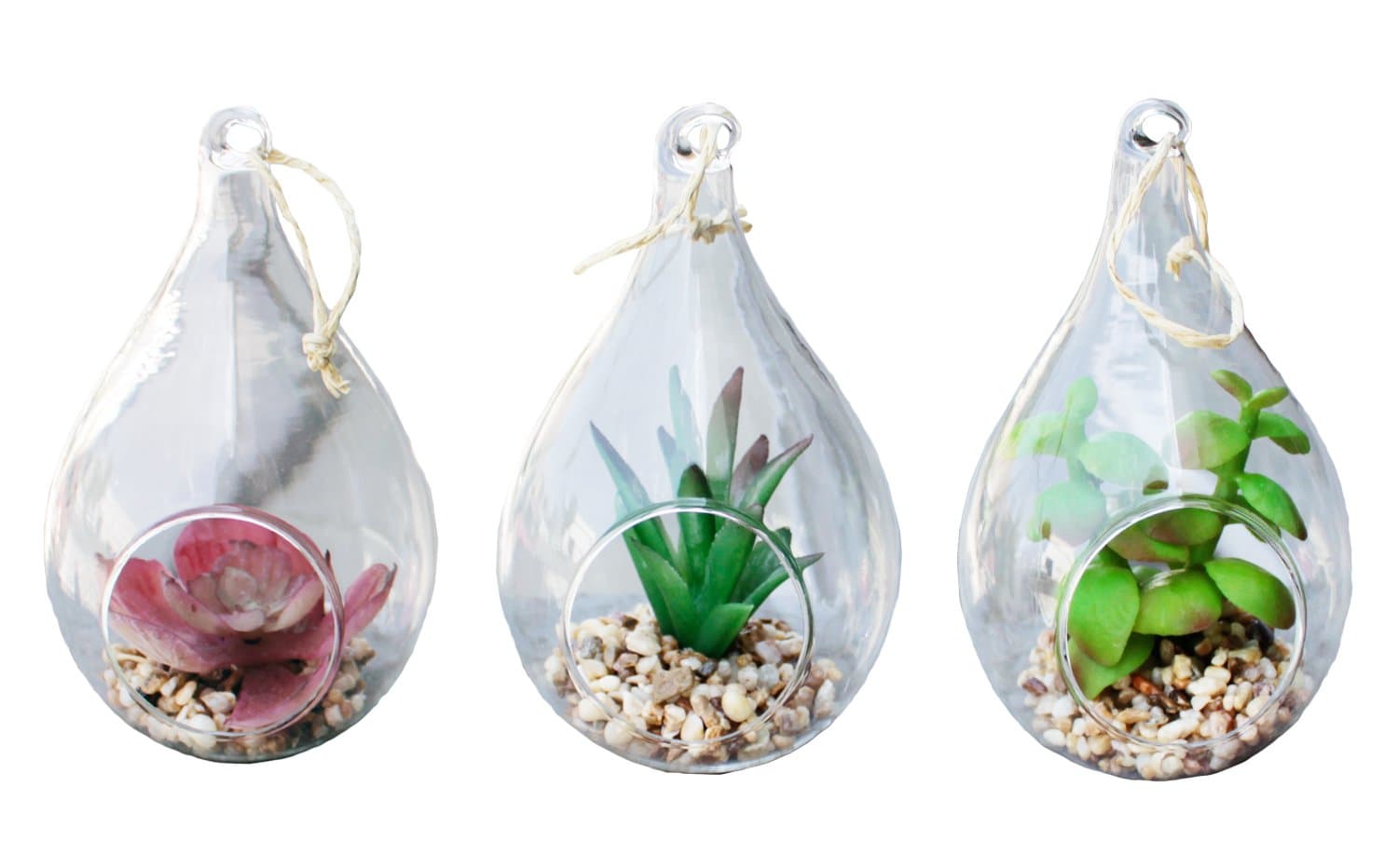 Nature's Mark3 Pack 6" H Faux Succulent with Tear Drop Hanging Glass