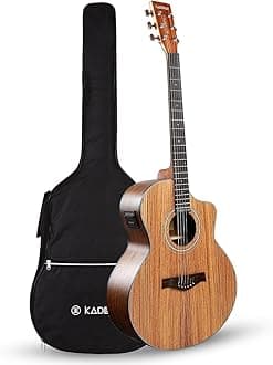 Guitar Acoustica Series (Grand Auditorium body) Semi Acoustic Zebra Wood Guitar with EQ, Padded bag and Learning Course - Light Brown