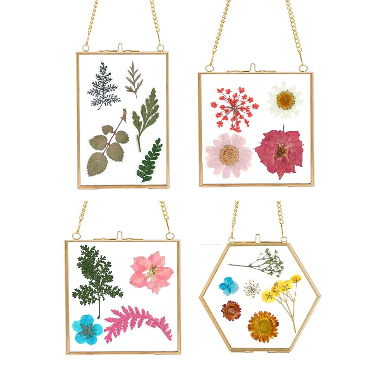 4 PCS Glass Frame for DIY Pressed Flowers Art - Brass Hanging Photo Picture Frame - Golden Floating Glass Frame with Chain - Pressed Flower Collage Glass Craft Frames for Wall Decor Display Gallery