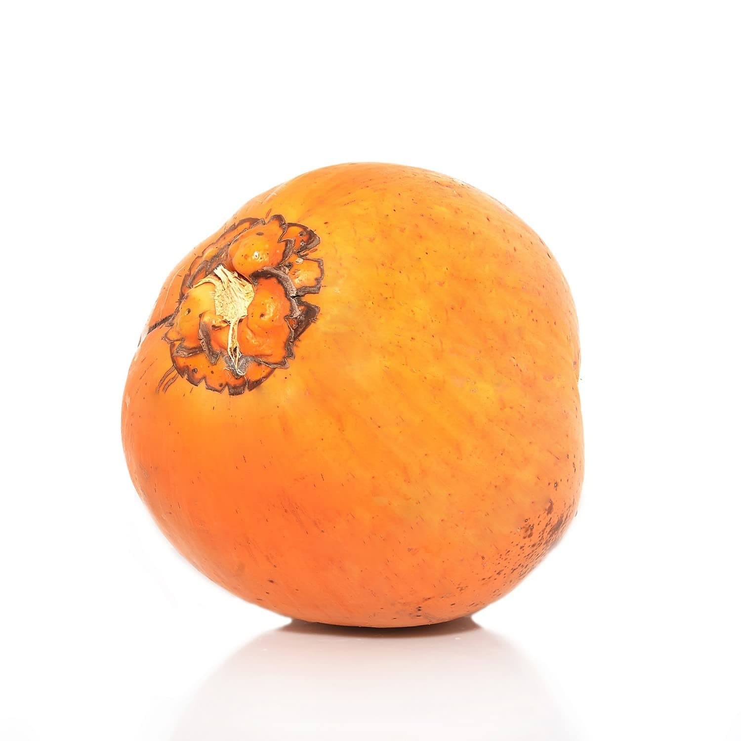 King Coconut Sri Lanka 1pc