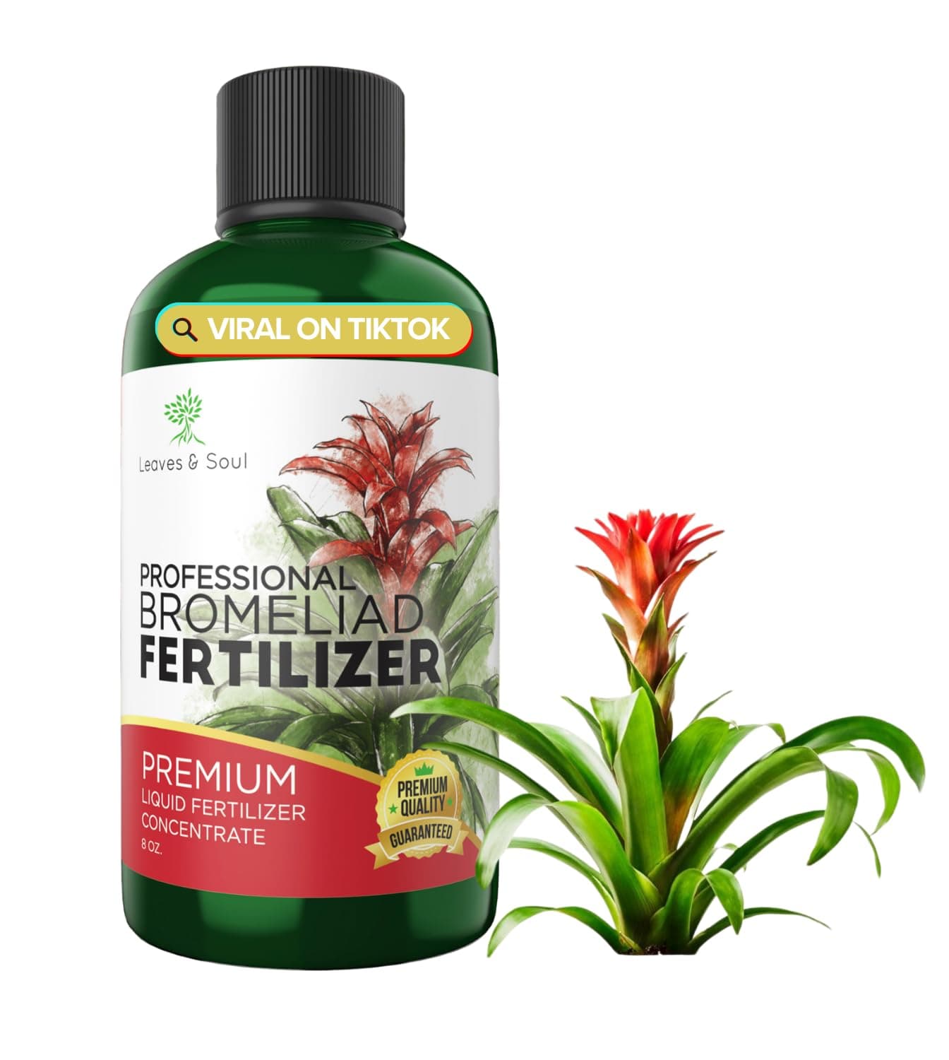 Professional Liquid Bromeliad Plant Fertilizer | 3-1-2 Concentrate for Plants and Flowers | Multi-Purpose Blend & Gardening Supplies | 8 oz Bottle