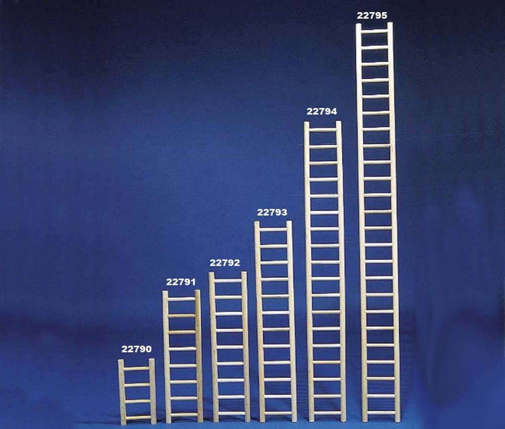 BBO22793 Bob Parrot Ladder, 24-Inch