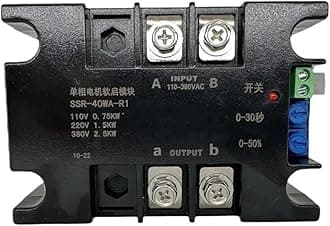 220V Single-Phase Motor Soft Starter Soft Start Module Soft Start 50-60HZ Compatible 1/1.5/2/3/4/6/8KW(SSR-100WA-R1(4KW))