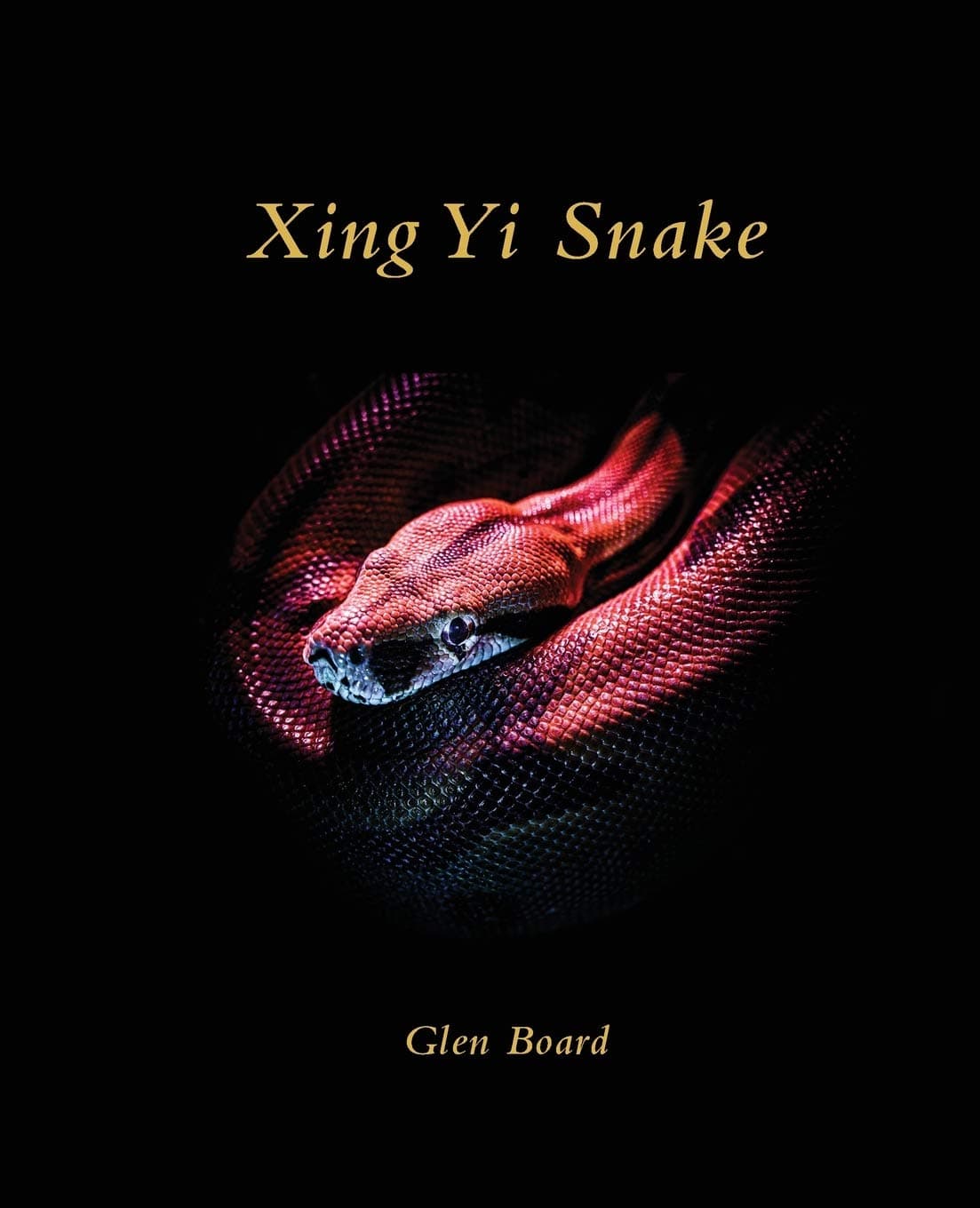 Xing Yi Snake Paperback – April 15, 2020