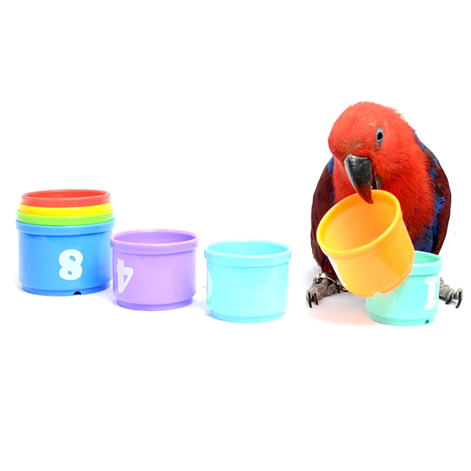 Litewoo Parrot Stacking Cup Toy Parrot Education Colorful Chewing Playing Training Toy for Birds Parakeet Cockatiel Amazon Budgie Cockatoo Finch Conures Macaw