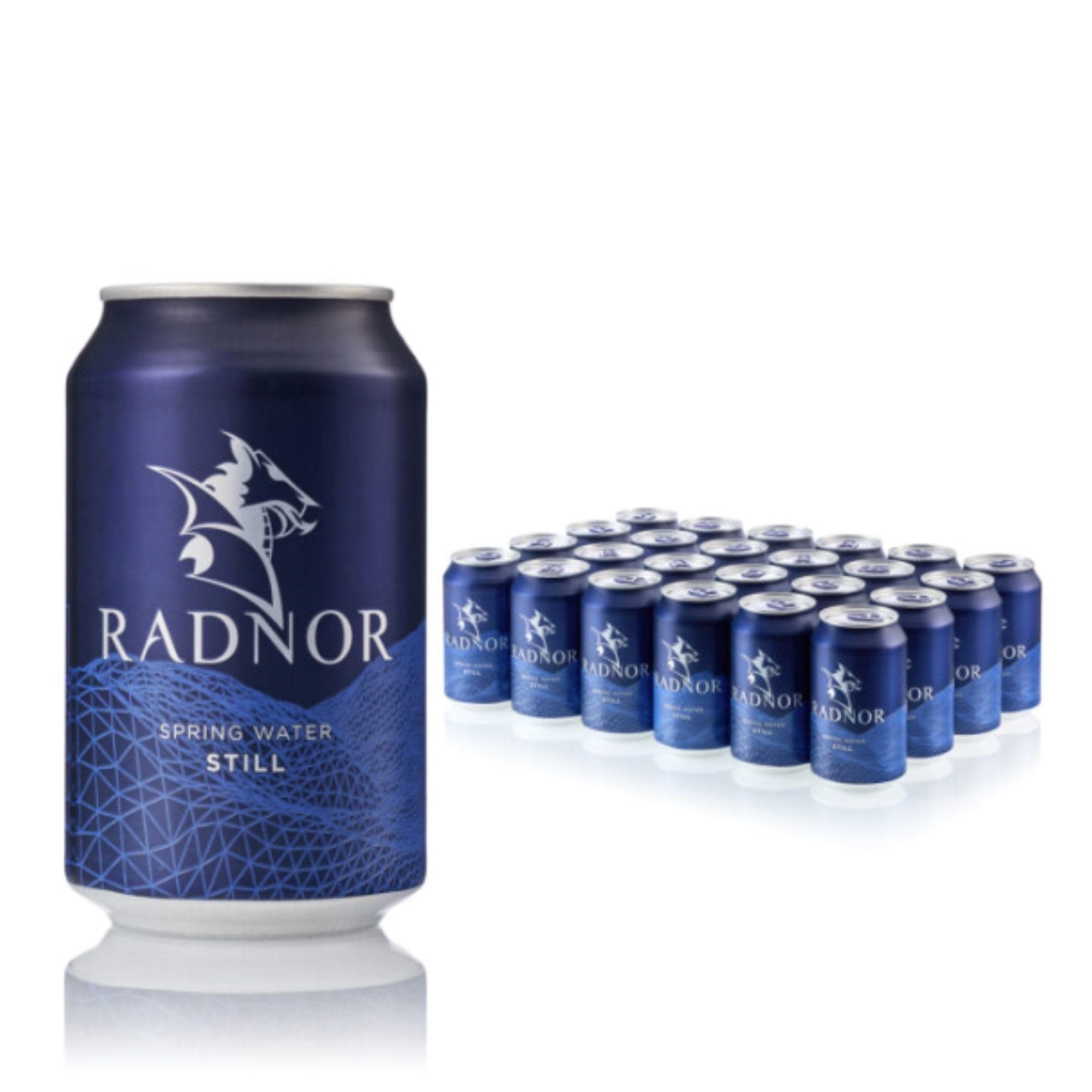 Radnor Still Spring Water - Assorted Sizes (330ml, Pack of 24, Can)