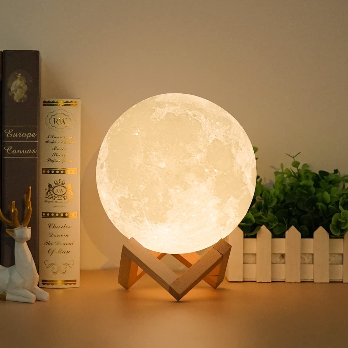 Moon Lamp 7.1 inches with Stand Adjustable Brightness and Warm White/Cool White Color, USB Charging Cable. Romantic Moon Light Will Birthday Gifts for Women, Men, Kids, Child, and Baby