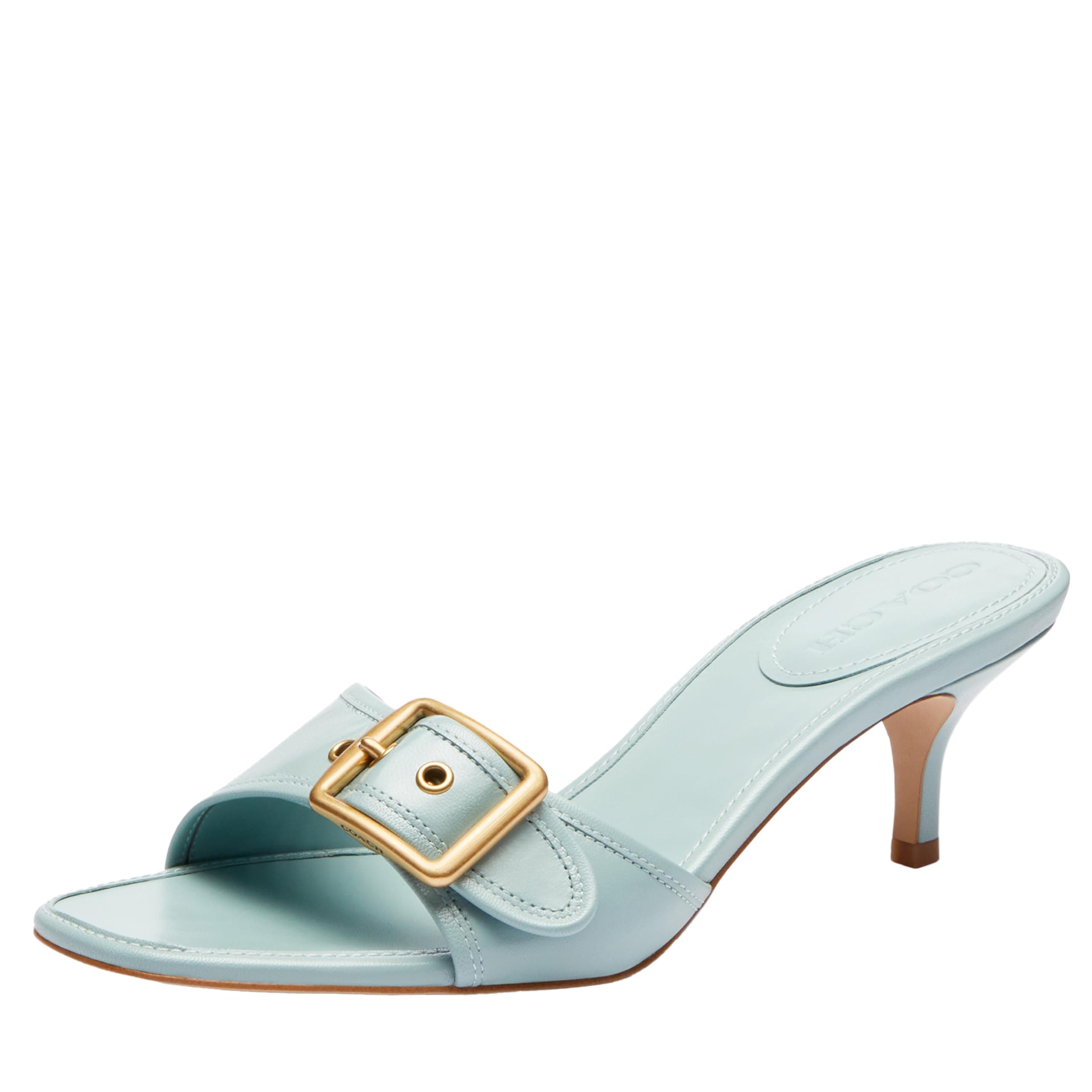 COACH Women's Margot SandalMary Jane Flat