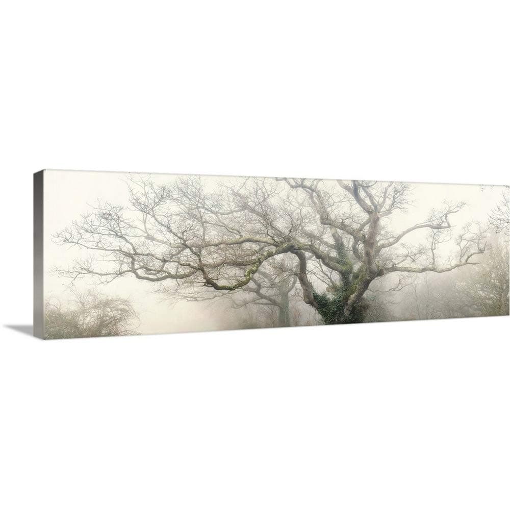 GREATBIGCANVAS Panoramic Octopus Ghost Oak Canvas Wall Art Print, Tree Home Decor Artwork, 48"x16"x1.5"