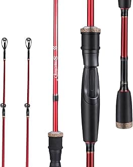 Sougayilang Fishing Rod, 2Pc Casting Rod Spinning Rod for Freshwater Tournament Quality Fishing Pole with 2 Tips for Bass