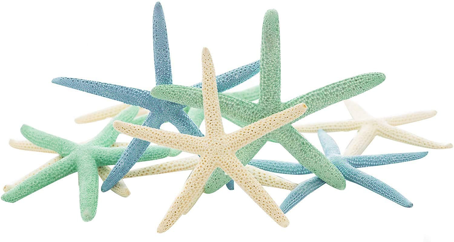 Starfish Decor - Star Fish for Craft - 10pk Real 4-6" Green Blue White Sea Stars - Beach Wedding Decor - Coastal Party Decorations - Seashell Decor