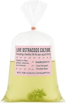 25+ Freshwater ostracds Seed Shrimp aquaruim Cleaners Micro-Fauna Live Food for Fish invertebrates Nano Tanks