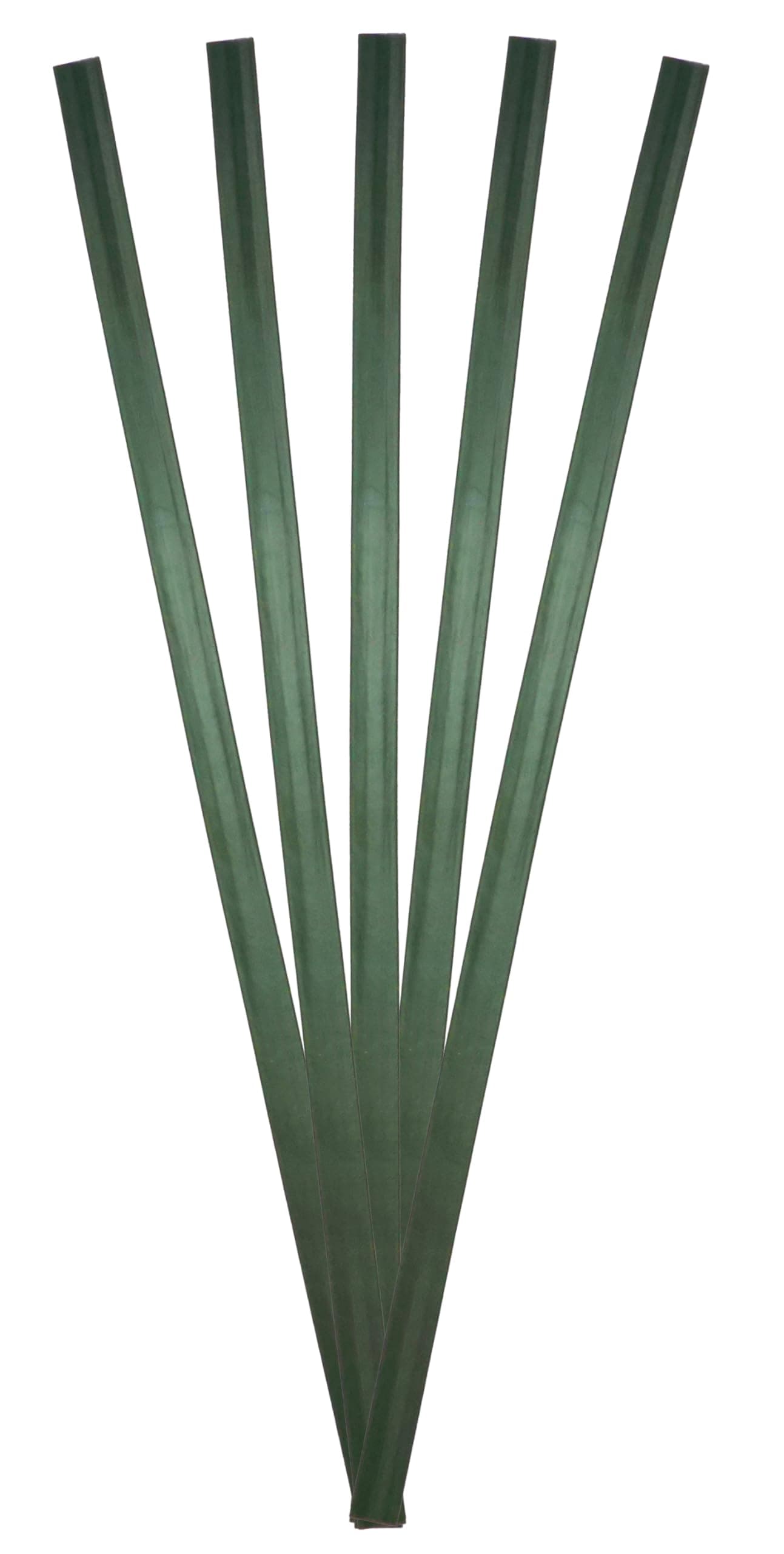 High Density Polyethylene (HDPE) Plastic Welding Rod, 3/8" x 1/16", 5 ft., Green