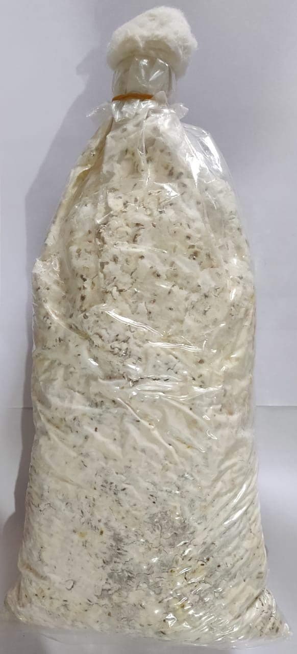 Dayal Garden Mushrooms Button Spawns - 1 Kg