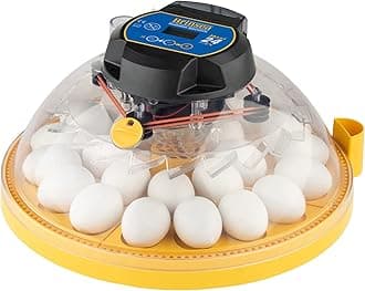 Maxi 24 EX Egg Incubator with Automatic Humidity Control and Egg Turning for Hatching 24 Chicken, Duck, or Other Eggs, Optimal Flexibility with Mix & Match Sizes
