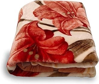 LGYKUMEG Mink Fleece Throw Blanket 55" × 75" - 2 Ply Reversible Silky Soft Plush Warm Blanket for Autumn Winter 5.5 Lb /2.5kg.