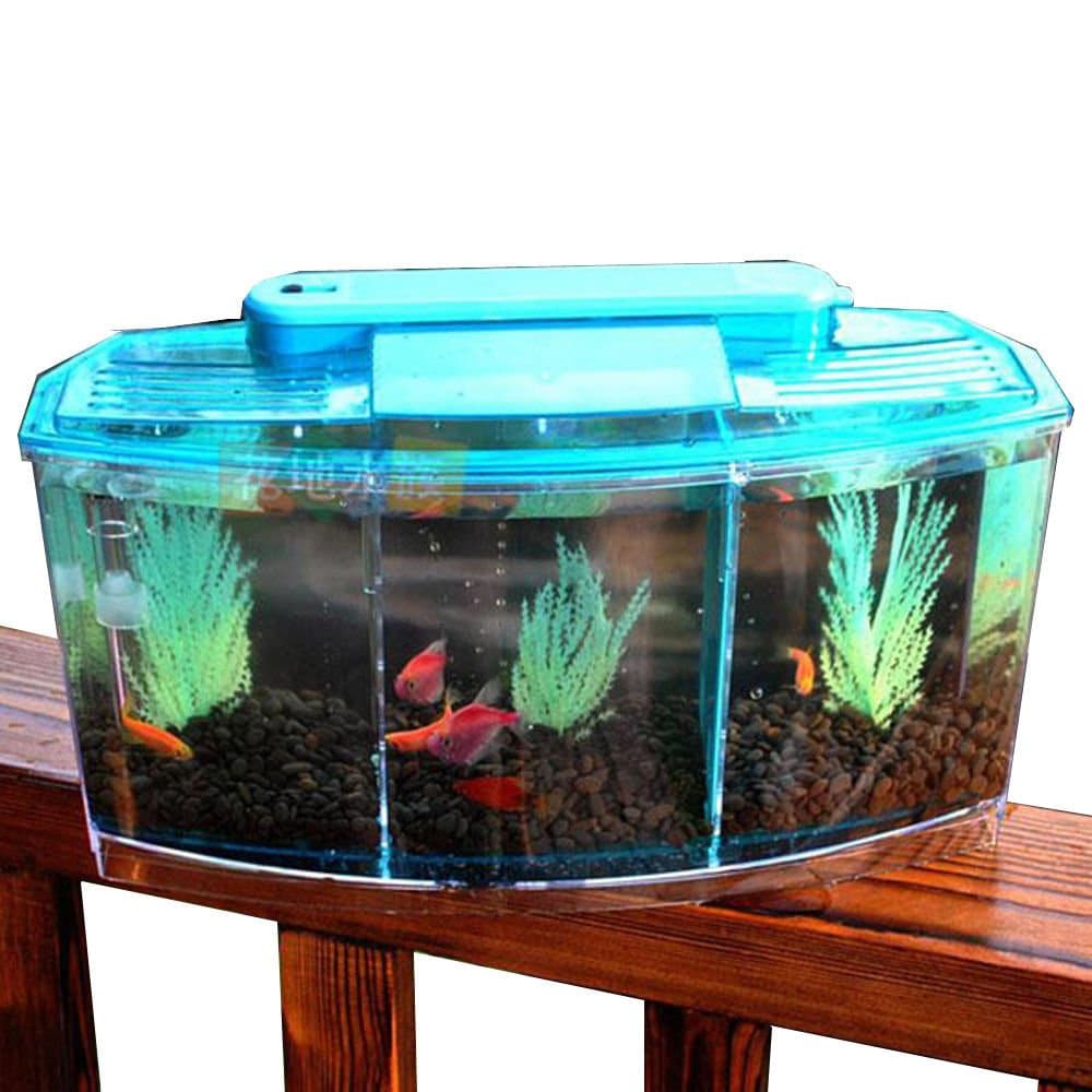 3 Compartment Acrylic Fish Shrimp Tank Small Aquarium with LED Light Sky Blue