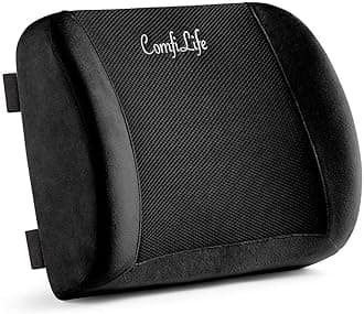 Lumbar Support Back Pillow Office Chair and Car Seat Cushion - Memory Foam with Adjustable Strap and Breathable 3D Mesh (Black)