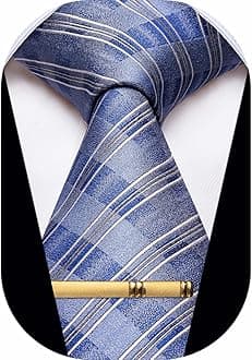 Men's Neckties Striped Tie and Plaid Neckties for Men Woven Silk Tie Gold Tie Clip Set