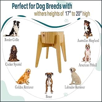 Dog Bowl Slow Feeder - 12-inch Tall, Elevated, Raised Single Food Station with Stand and Slow Feeder Insert, Suitable for Treats, Wet/Dry Pet Foods