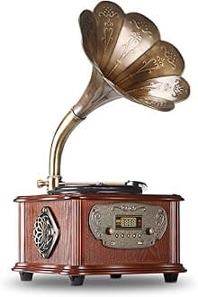 Bluetooth Phonograph Record Player Turntable, Library Vintage Gramophone with Copper Horn, Built-in Independent subwoofer 3.5mm Aux-in/ USB/FM for Home, Office
