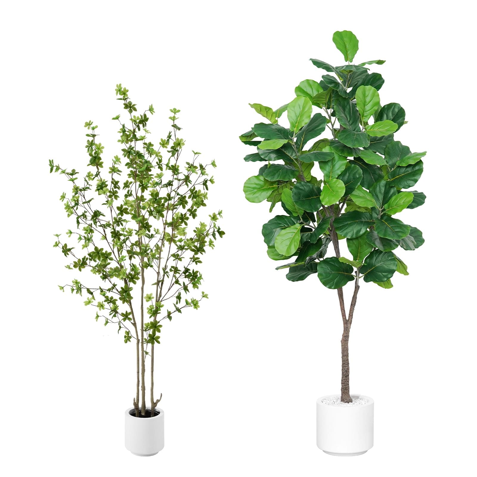 Keeplush6.5ft Tall Artificial Enkianthus Tree and 7ft Fiddle Leaf Fig Tree
