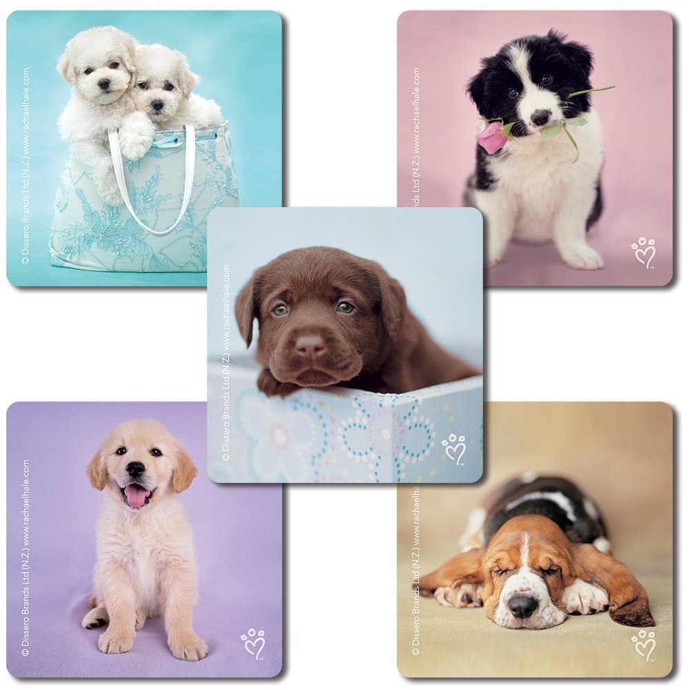 Smilemakers Rachael Hale Dogs Stickers - 100 Per Pack
