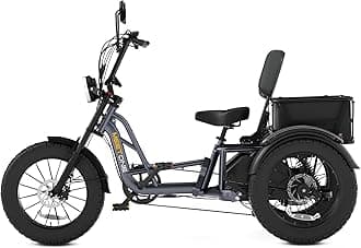 Tour Lite 1200W Rear Drive Electric Tricycle for Adults, 48V 20AH Fat Tire Electric Trike, 25MPH 110Miles, Full Suspension Etrike, Torque Sensor, Reverse & Parking, 550lbs Load (with Upgraded Parts)