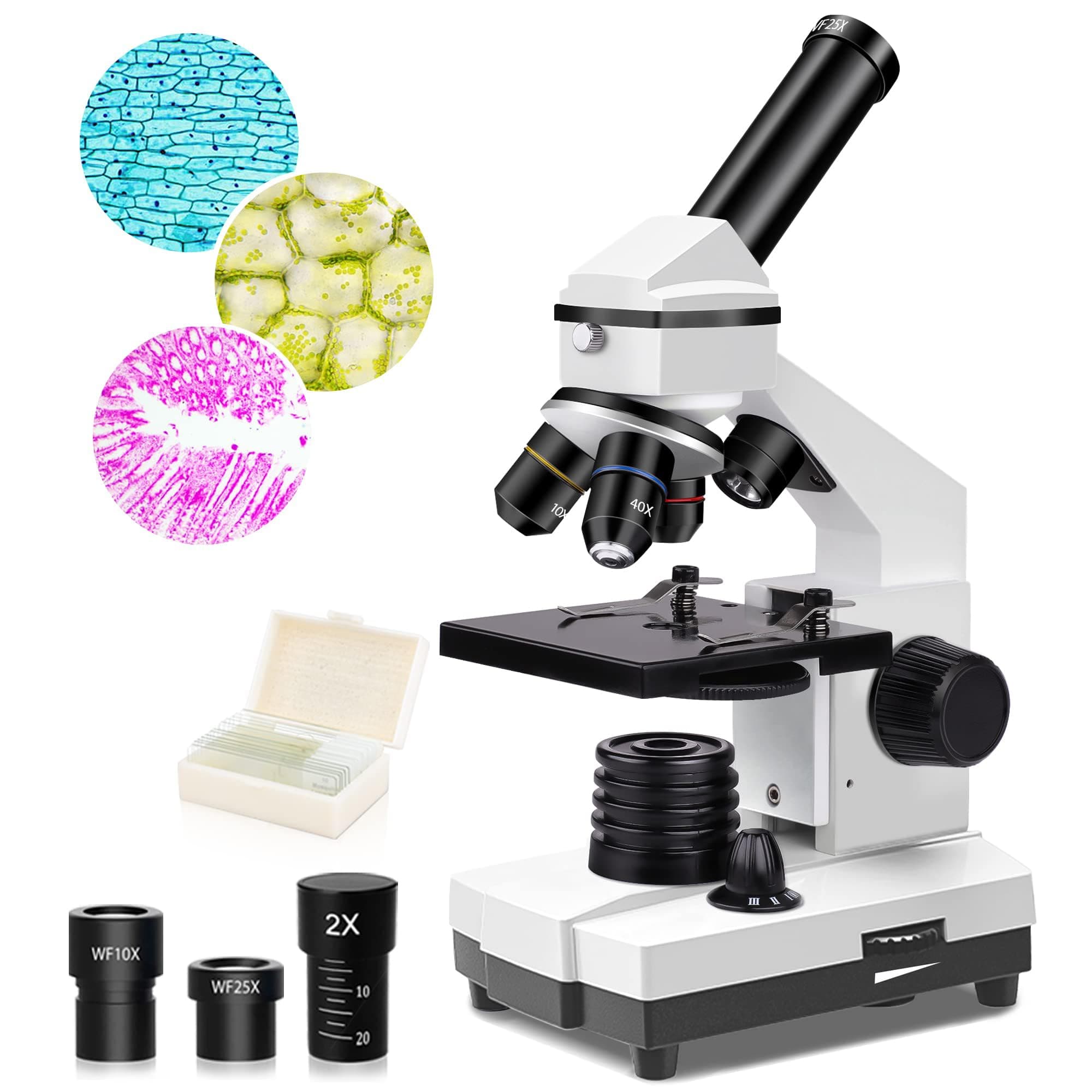 KASTWAVE 100X-2000X Microscopes for Kids Students Adults, Powerful Biological Microscopes for School Laboratory Home Education,with Microscope Slides Set, Phone Adapter