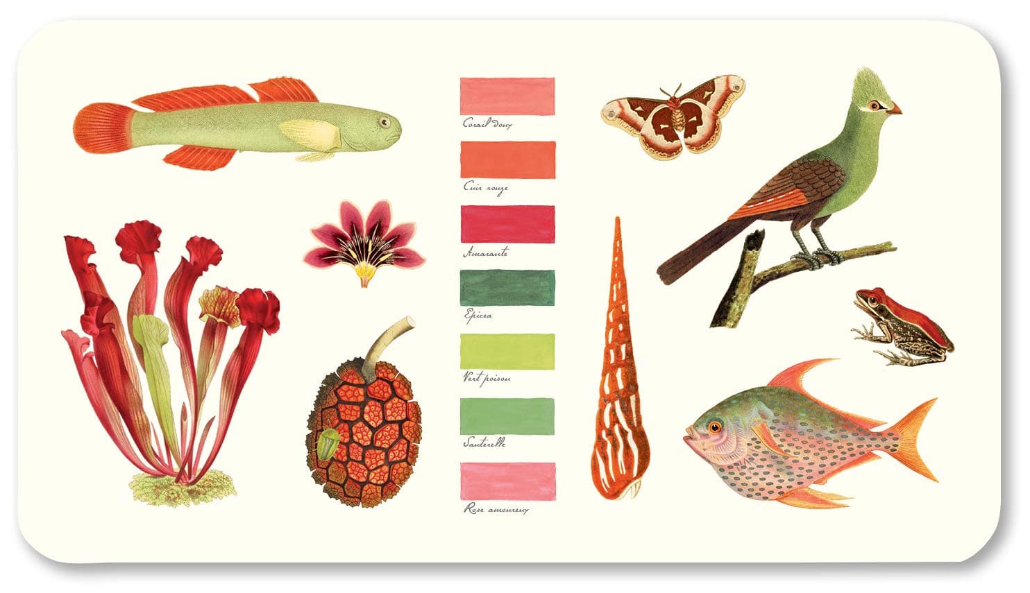 Alibabette Editions Paris Multi-purpose Tray -"Couleurs Nature n°1" - 7.9" x 14.2" Food & dishwasher safe, melamine tray with modern design and matte finish.