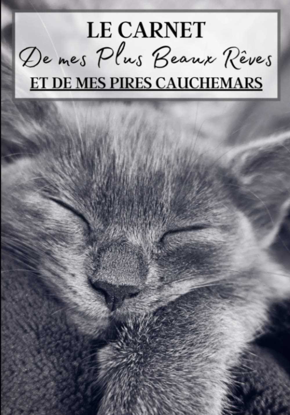 Le Carnet de mes Plus Beaux Rêves et de mes Pires Cauchemars: Cahier à remplir pour écrire vos rêves et cauchemars tous les jours pour être sûr de ne ... journal dès votre réveil | 100 rêves à noter