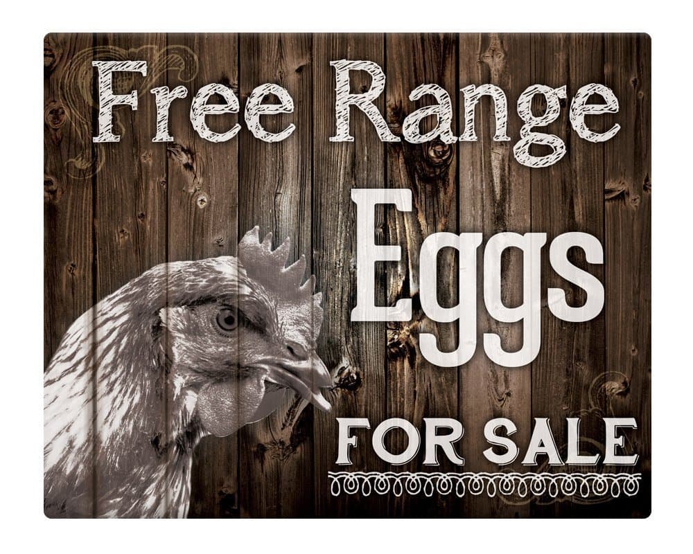Ohngangd Free Range Eggs for sale Shabby Chic rustic Metal Sign 8"x12"