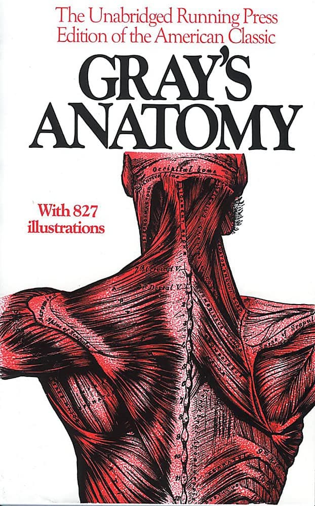 Anatomy, Descriptive and Surgical, 1901 Edition