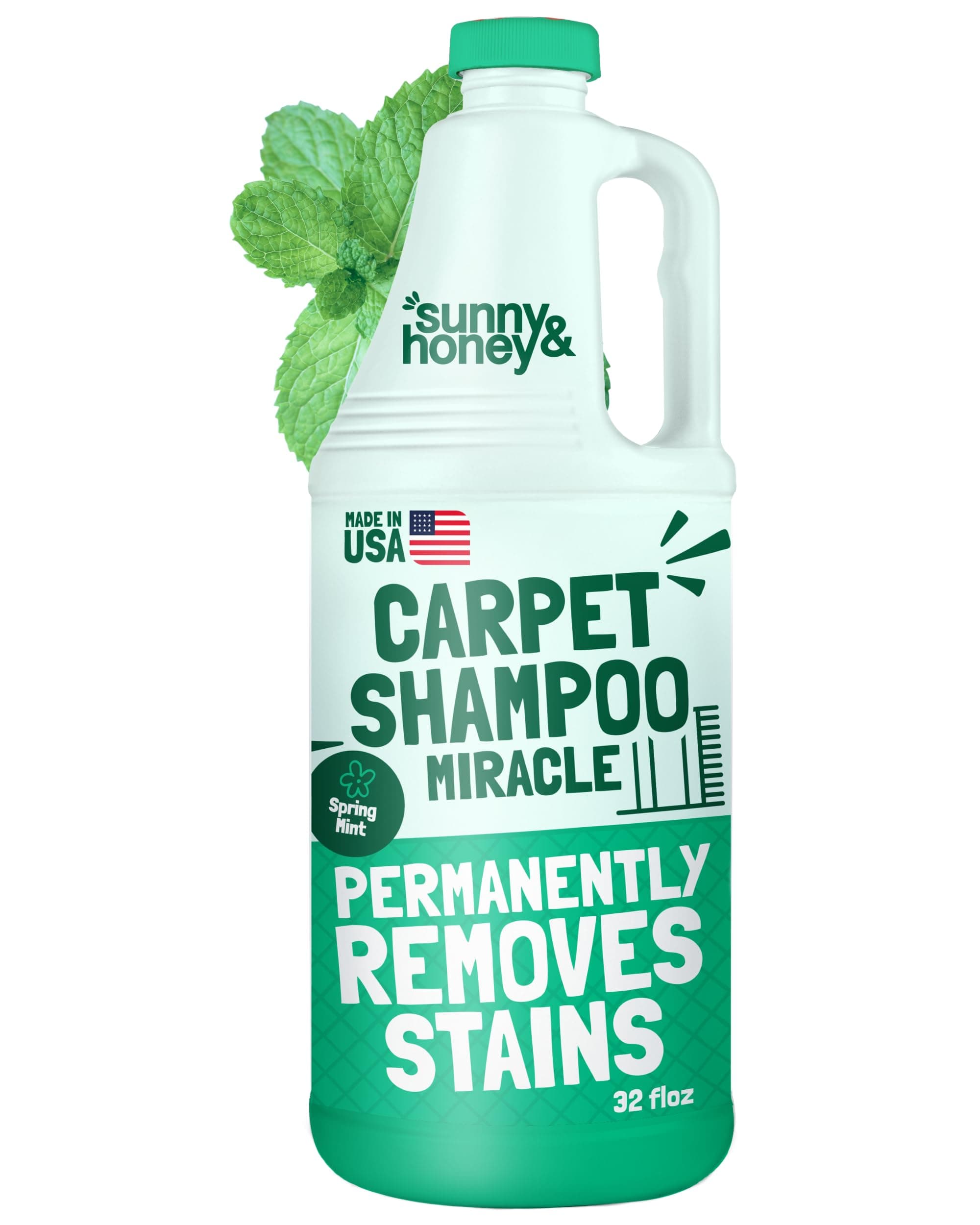 Heavy Duty Carpet Cleaner Solution for Machines - Powerful Stain and Surface Odor Eliminator For New and Deep-set Pet Messes - For Rugs, Couches and Upholstery (32fl oz, Spring Mint)