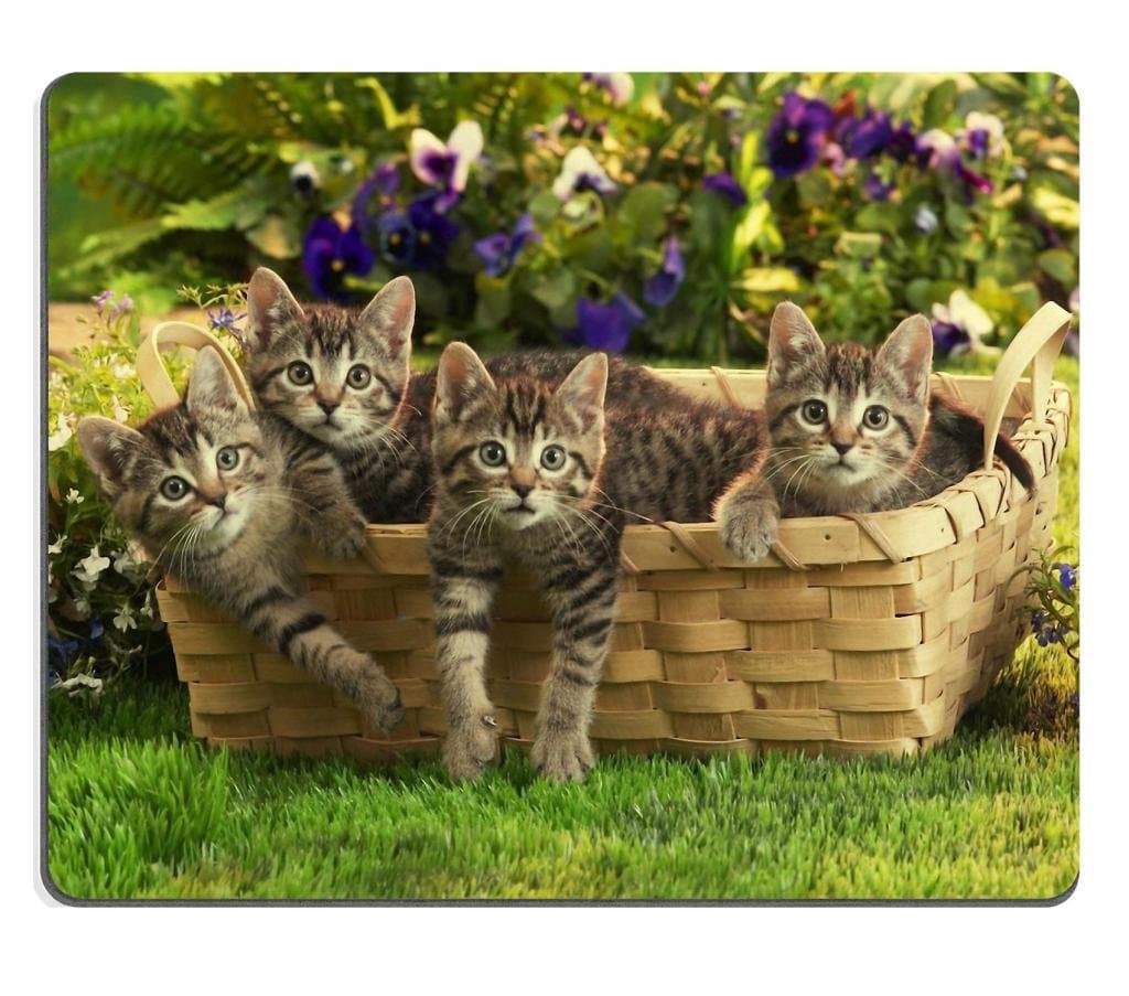 Dream Painter Neoprene Rubber Mouse Pad Cat 9.8 Inch (250mm) X 7.9 Inch (200mm) X 0.1 Inch (2mm) Customized Made Colorful Photo Picture Laptop Desktop Computer Gaming Support All Kind of Mouses Soft Good for Skin Comfortable