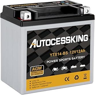 YTX14-BS 12V 12Ah Motorcycle Battery, Rechargeable Sealed AGM Battery Maintenance Free Powersport Replacement Battery for ATV and Scooter