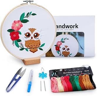 Owl Embroidery Kit, Embroidery Kit for Adult, Owl Pattern Practice Kit, Including Video Step by Step Instructions, Embroidery Hoop, Cloth, Needles and Thread for DIY Craft Lover (BEO013)