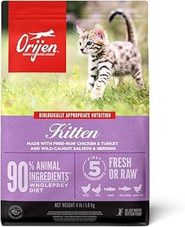 Grain Free High Protein Premium Dry Cat Food Kitten Recipe 4lb Bag