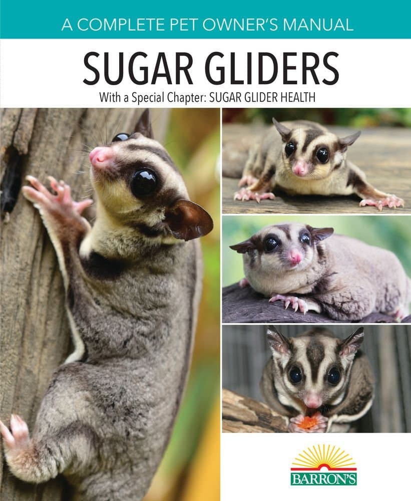 Sugar Gliders Paperback – 1 July 2016