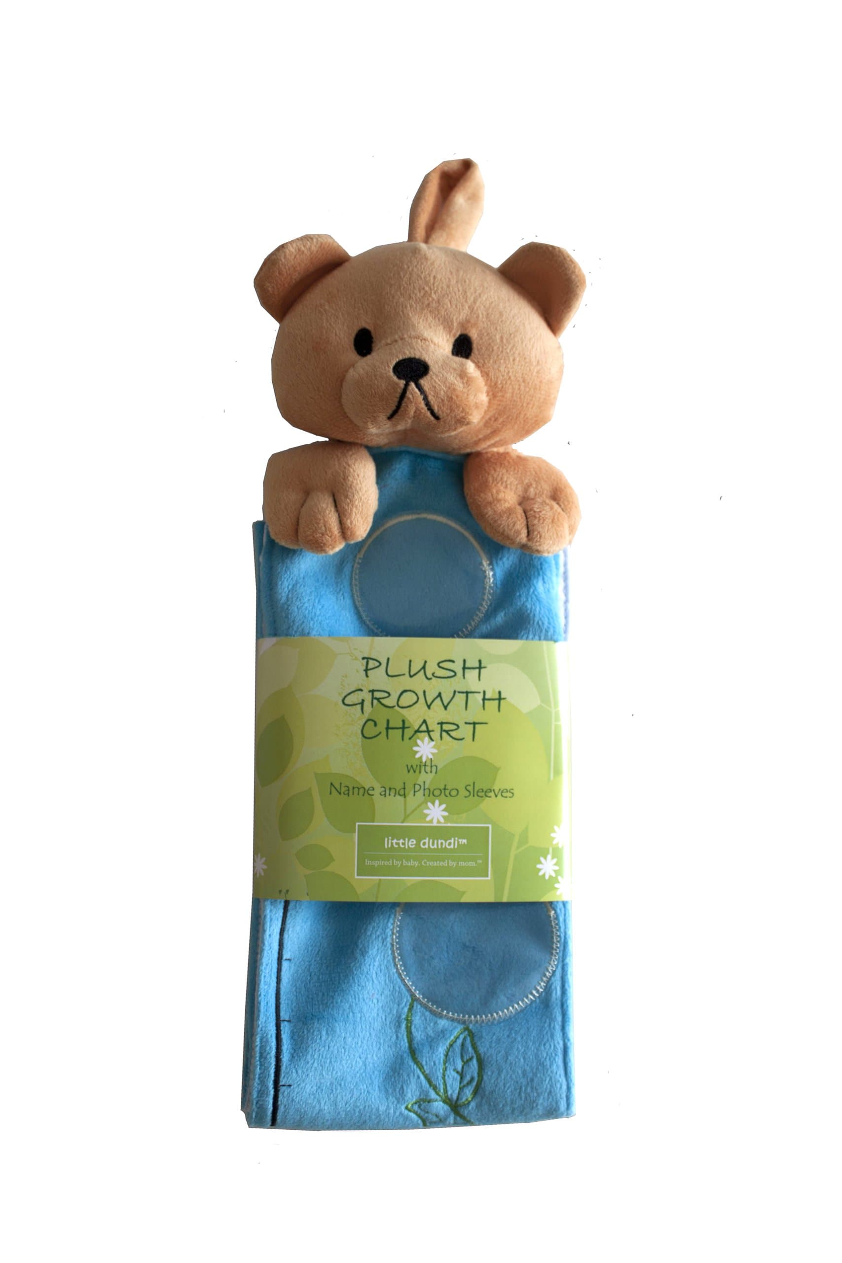 Plush Bear Growth Chart with Name and Photo Sleeves (Blue)