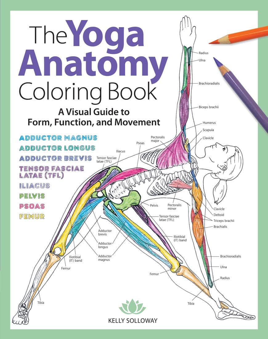 The Yoga Anatomy Coloring Book: A Visual Guide to Form, Function, and Movement: 1 (Anatomy Coloring Books): A Visual Guide to Form, Function, and ... Students, Yoga Teachers, & Adults (Volume 1)
