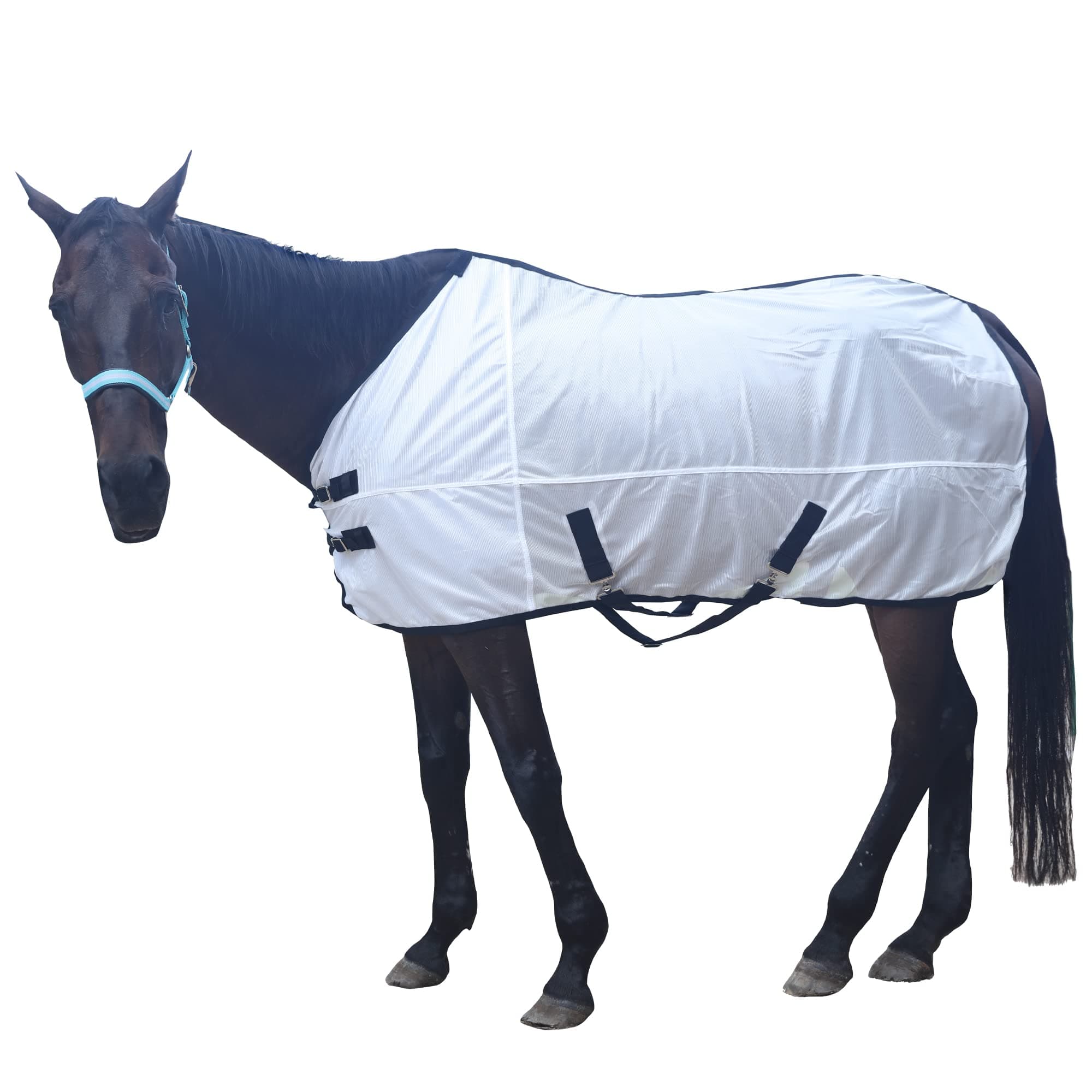 Horse Mesh Fly Sheet Standard Neck Summer Rug 69"