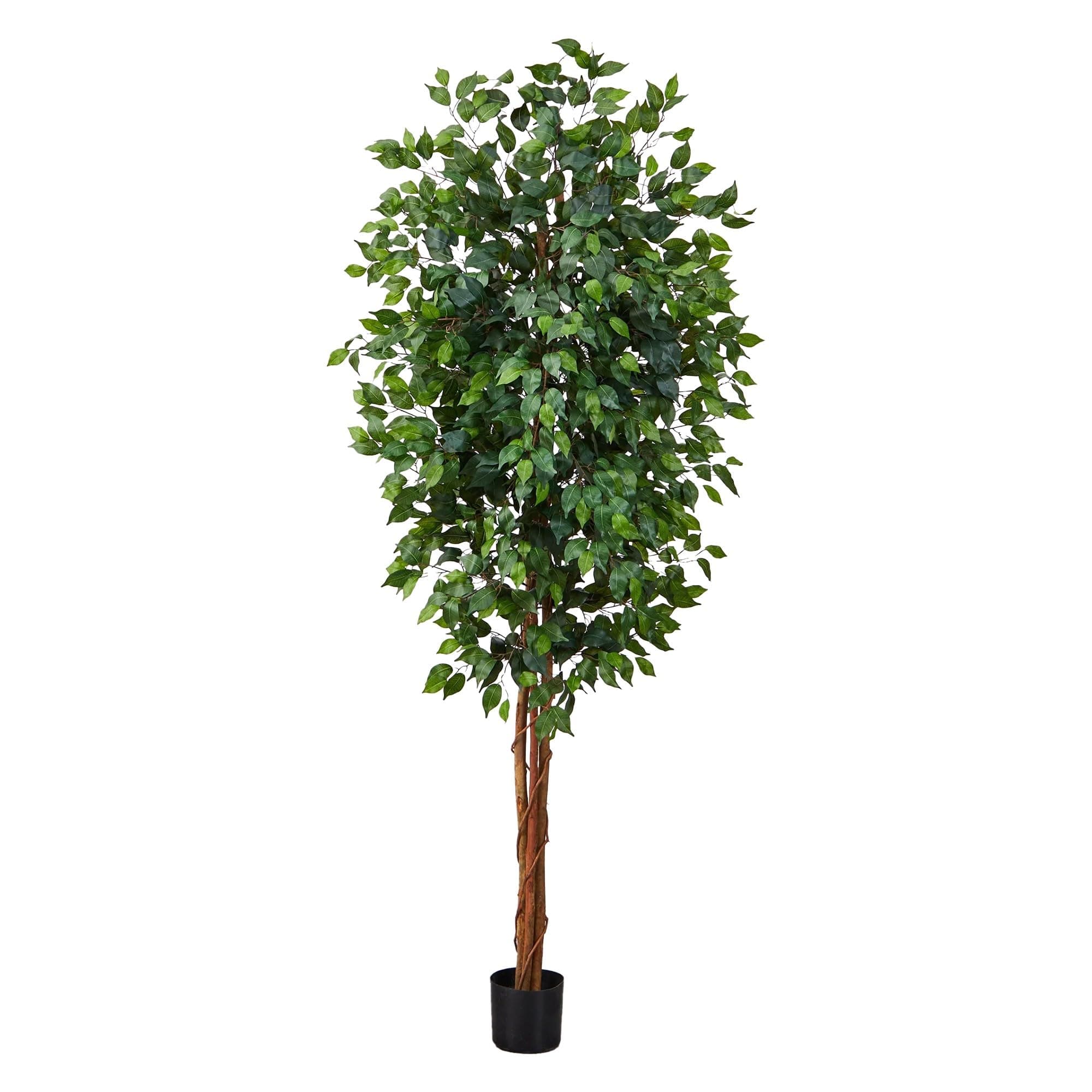 Nearly Natural 7ft Triple Trunk Artificial Ficus Tree with Natural Wood Trunks, Fake Tree For Indoor Home Decor, Faux Ficus Tree with Black Nursery Pot