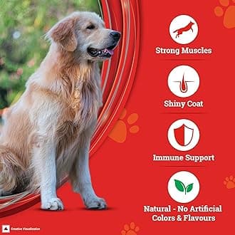 PURINA SUPERCOAT Adult Dry Dog Food, 1+ Years, With Chicken, Smart blend Precise Nutrition for Whole Body Health, No Artificial Colours & Flavours, 10Kg Bag