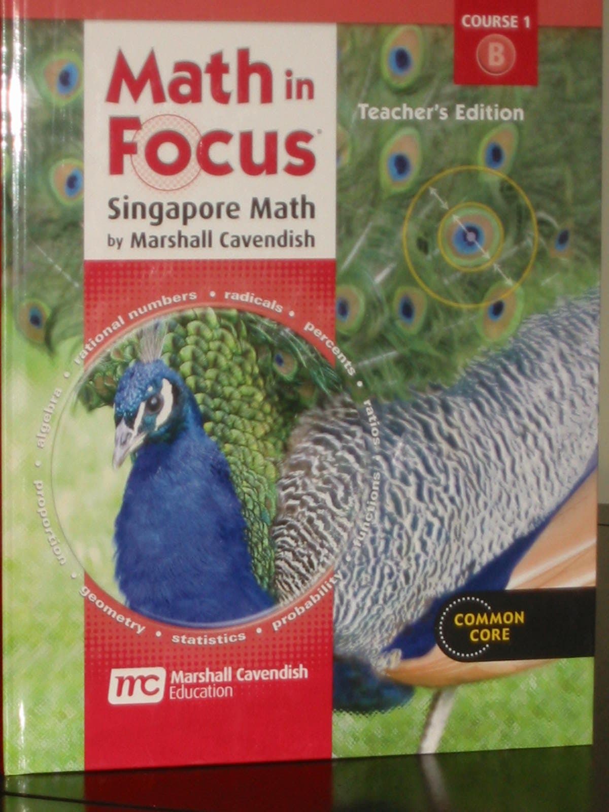 Math in Focus: Singapore Math Grade 6: Teacher Edition, Volume B