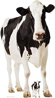 Star Cutouts SC163 Lifesize Cow Farm Animal Cardboard Cutout – 152cm | Great ...